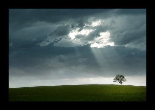 tobiaszeising